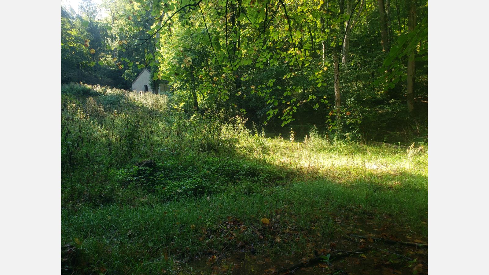 Site des Essarts