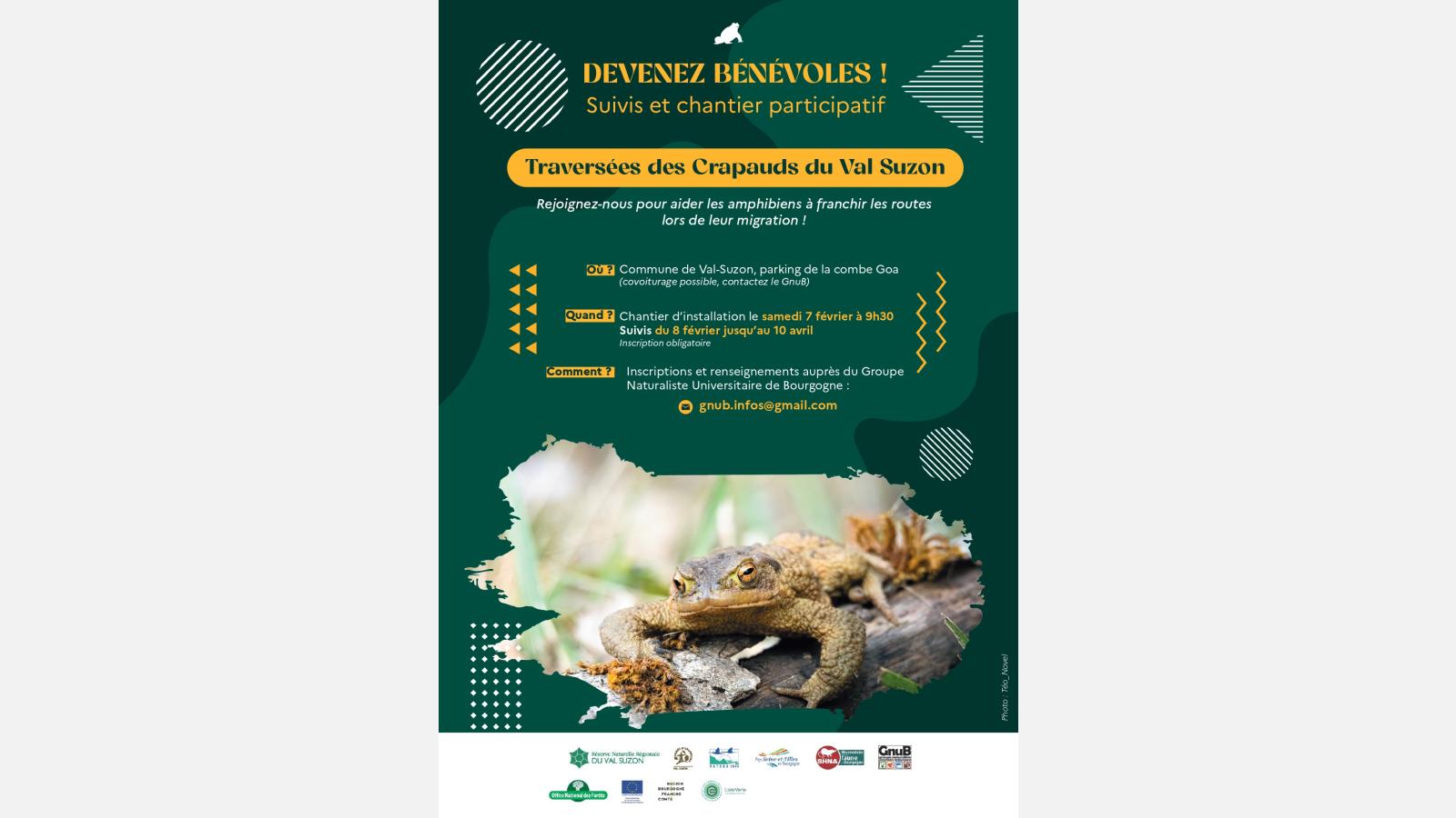 Affiche dispositif traversée Amphibiens