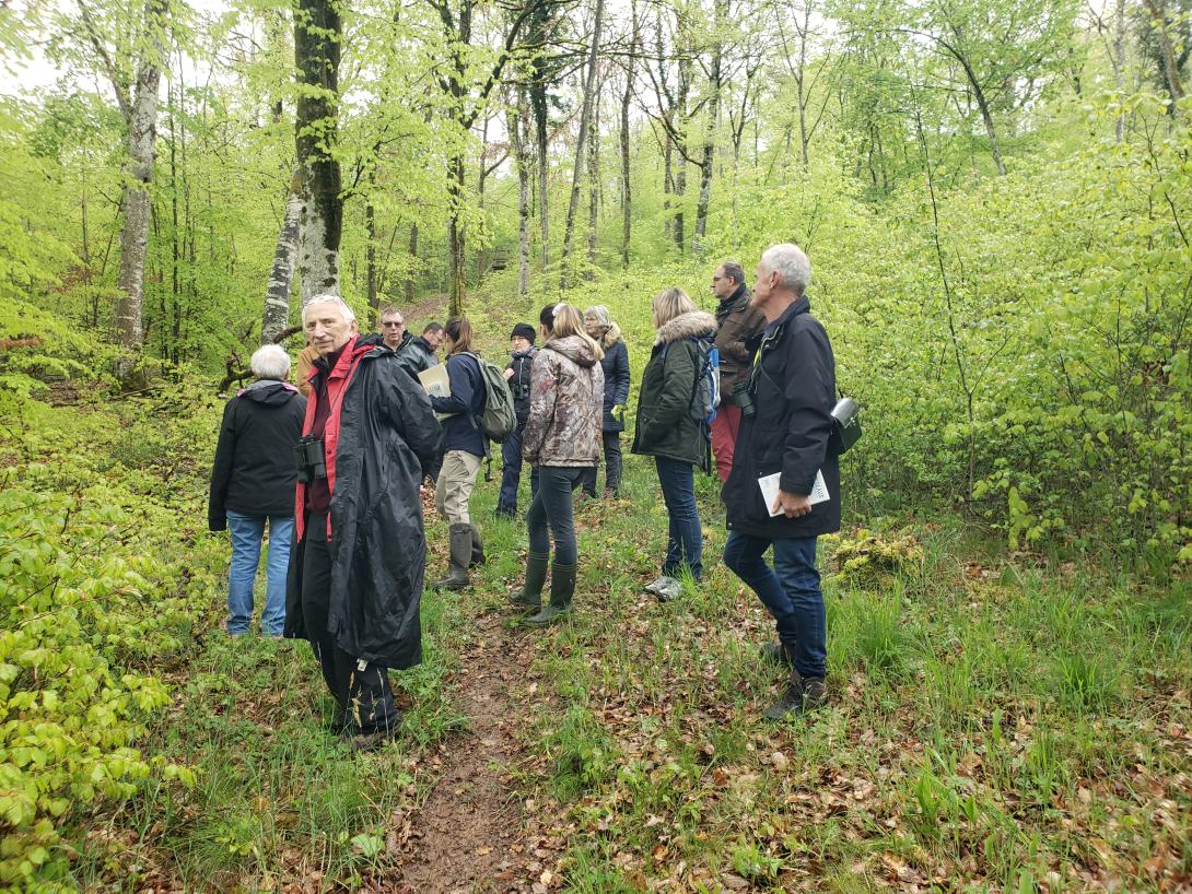 Photo de groupe en pleine nature