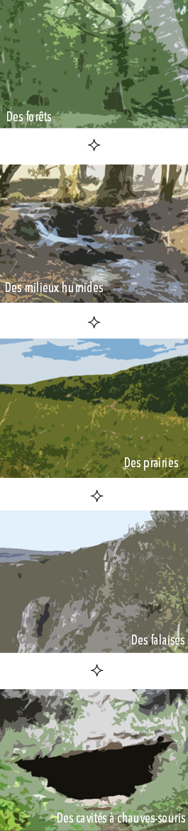 Illustrations habitats naturels