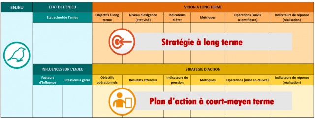 Modèle arborescence CT88