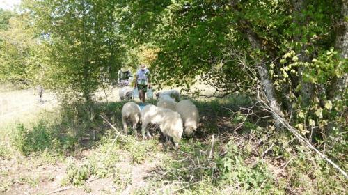 sld_pat_nv_parc_22aout2017_3_640x480.jpg
